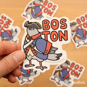 Boston Pigeon Revolutionary War Soldier - Adesivo de vinil de 3" - pássaro fofo - Costa Leste - lembrança da Nova Inglaterra - adesivo de Boston Massachusetts
