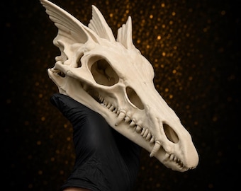 Sand Dragon Skull | Gothic Fantasy Bone Decor