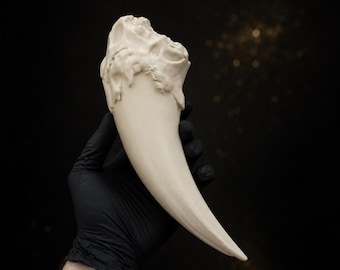 Dragon Fang Fossil | Gothic Fantasy Relic