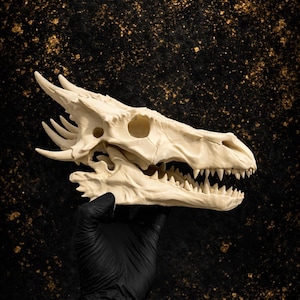 May include: An off-white dragon skull with sharp teeth and eye sockets, held by a gloved hand. The skull is set against a dark background with gold flecks. A detailed and dramatic piece, suitable for fantasy and gothic themes.