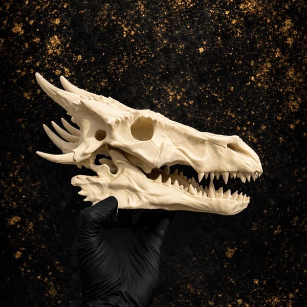 Gothic dragon skull decor | fantasy bone sculpture | realistic skull model for shelf or wall