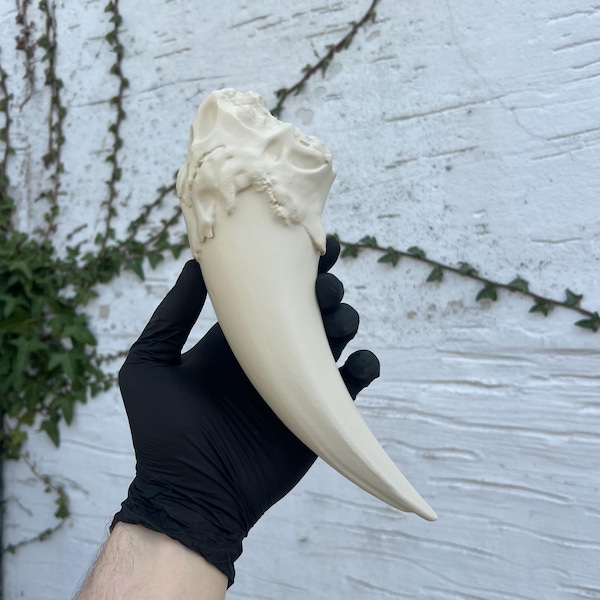 Gothic Dragon Fang Fossil Skull Tooth | Dark Fantasy Bone Relic Decor