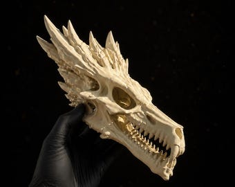 Ancient Dragon Skull | Gothic Fantasy Bone Decor