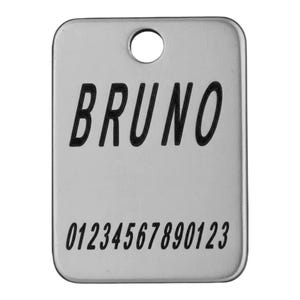 Rechteckiger Titanring für Hunde, Hundemarke, tiefe Lasergravur