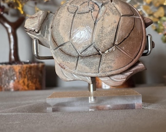Picture jasper turtle
