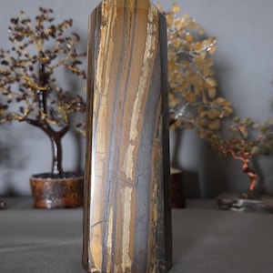 May include: A tall, rectangular tiger's eye crystal point with a flat base and a pointed top. The stone features vertical bands of brown, gold, and gray hues. The crystal is displayed against a neutral background, with decorative miniature trees in the background.