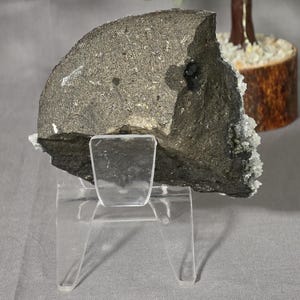Puede incluir: Un esp&eacute;cimen de roca gris oscuro, de forma irregular y textura rugosa, expuesto sobre un soporte de acr&iacute;lico transparente. La roca tiene una mancha oscura y formaciones de cristales blancos. Un peque&ntilde;o &aacute;rbol decorativo est&aacute; en el fondo.