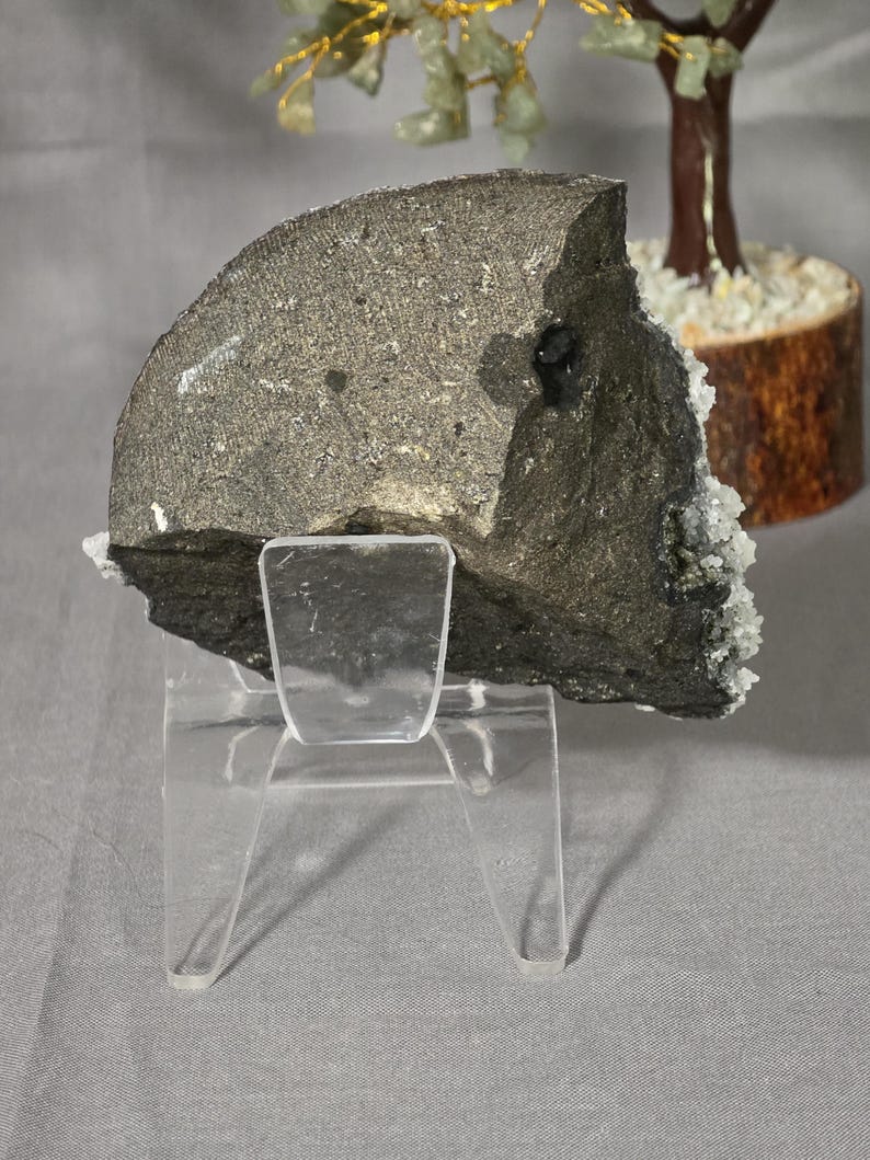 Puede incluir: Un esp&eacute;cimen de roca gris oscuro, de forma irregular y textura rugosa, expuesto sobre un soporte de acr&iacute;lico transparente. La roca tiene una mancha oscura y formaciones de cristales blancos. Un peque&ntilde;o &aacute;rbol decorativo est&aacute; en el fondo.