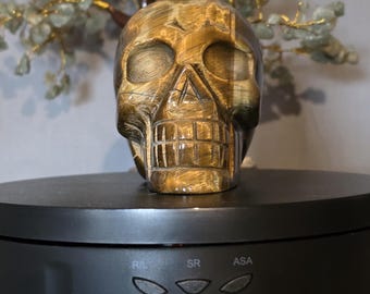 Tiger's eye skull