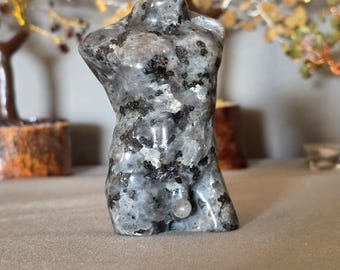 Larvikite male body