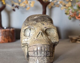 Picture jasper skull