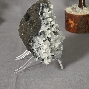 Puede incluir: Una geoda gris oscuro con un grupo de cristales blancos, exhibida en un soporte de pl&aacute;stico transparente. La geoda es rugosa y texturizada, con una superficie lisa gris oscuro contrastante. Un &aacute;rbol decorativo est&aacute; en el fondo.