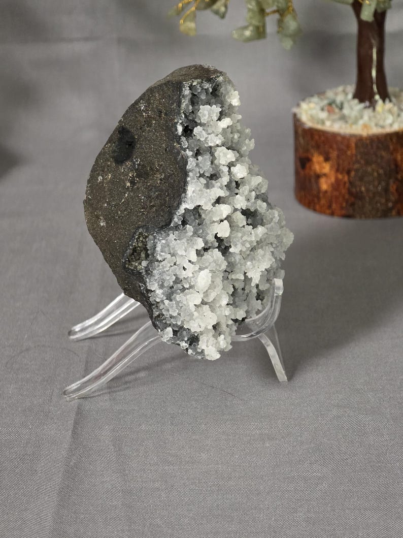Puede incluir: Una geoda gris oscuro con un grupo de cristales blancos, exhibida en un soporte de pl&aacute;stico transparente. La geoda es rugosa y texturizada, con una superficie lisa gris oscuro contrastante. Un &aacute;rbol decorativo est&aacute; en el fondo.
