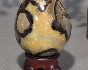 Septarian egg on stand