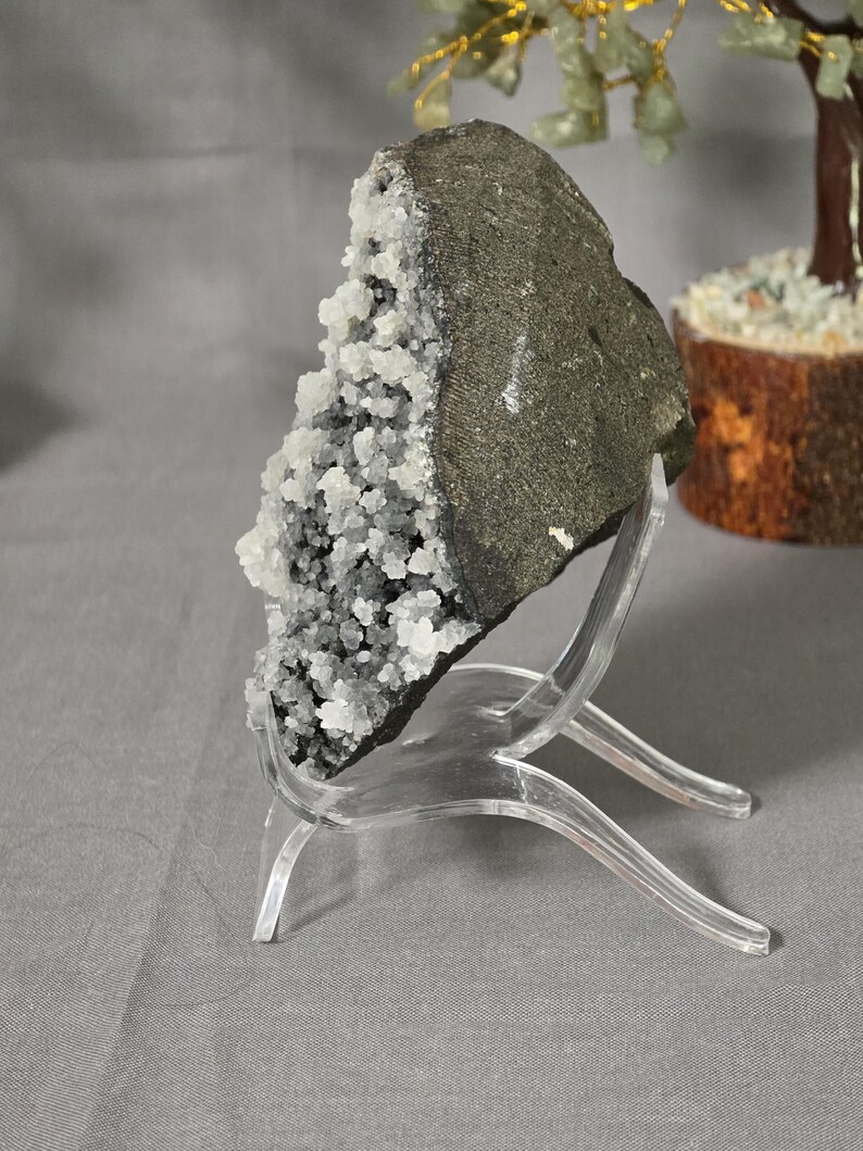 Puede incluir: Una formaci&oacute;n rocosa de color gris oscuro con un grupo de cristales blancos, exhibida en un soporte acr&iacute;lico transparente. La roca tiene una textura rugosa y los cristales tienen un aspecto brillante. El soporte tiene un dise&ntilde;o curvo.