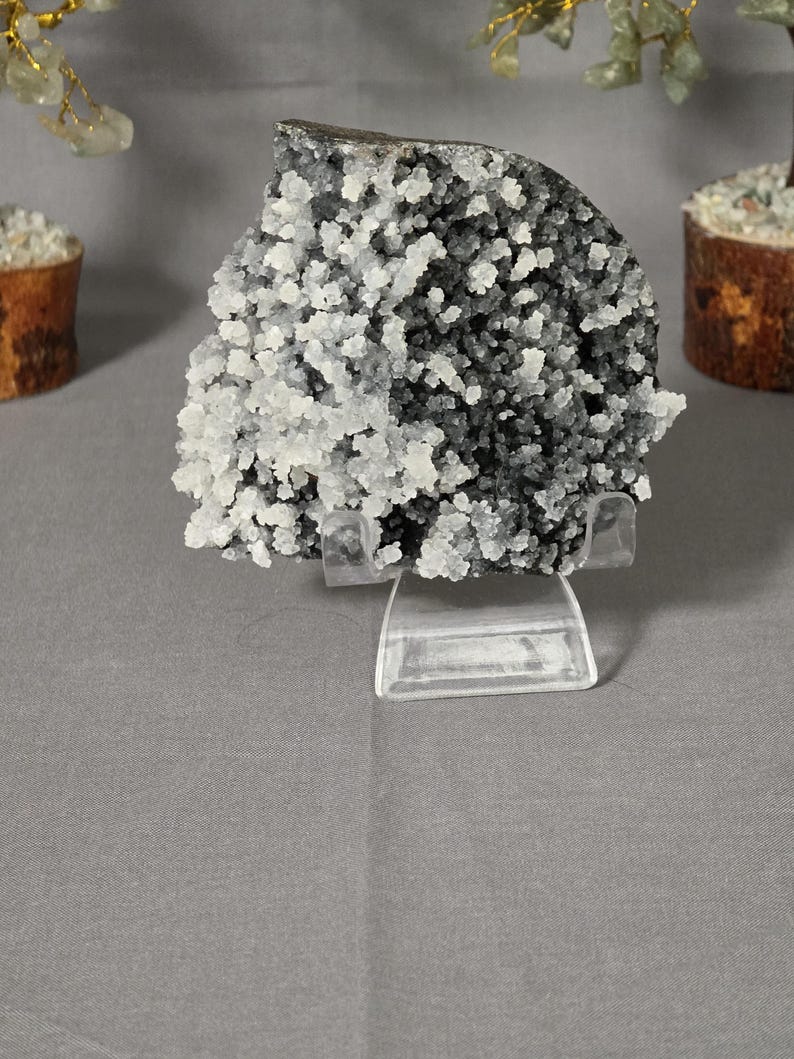 Puede incluir: Un esp&eacute;cimen de geoda con una estructura cristalina gris oscuro y blanca, exhibido en un soporte acr&iacute;lico transparente. La geoda tiene una superficie rugosa y texturizada y est&aacute; parcialmente cortada, revelando los cristales interiores.
