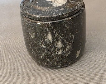 Ammnoite fossil trinket box