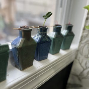 May include: A row of four small, square-shaped ceramic bottles in shades of blue and green. Each bottle features a narrow neck with a dark, circular stopper held in place by a thin wooden toothpick. One bottle contains a small green sprout.