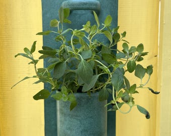 Fioriera in ceramica per recinzione – Fioriera verticale per erbe aromatiche e piante da giardino