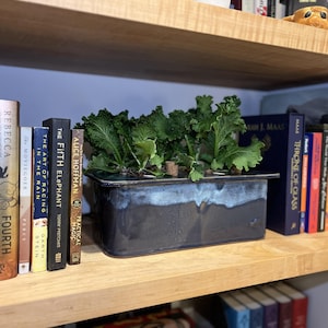 Indoor Hydroponic Ceramic Garden: Custom Orders!