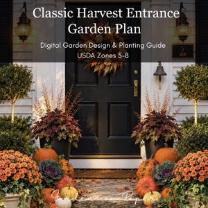 Op de afbeelding: Een digitale tuinontwerp- en plantgids getiteld Classic Harvest Entrance Garden Plan voor USDA-zones 5-8, met een zwarte voordeur met herfstkrans, geflankeerd door potplanten, pompoenen en oranje chrysanten.