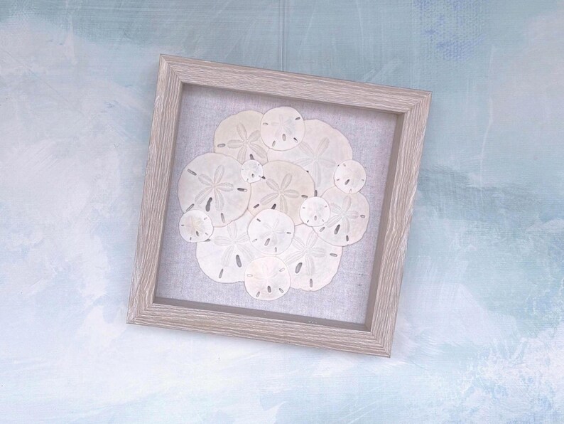 Coastal Coins- Sand Dollar Collage/seashell Art/coastal/beach Decor ...
