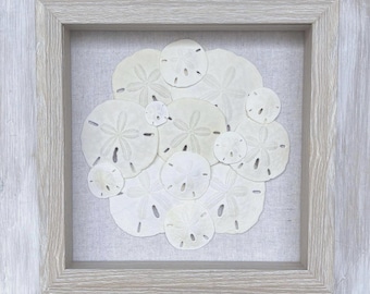 Coastal Coins- Sand Dollar Collage/Seashell Art/Coastal/Beach Decor/Wall Art in a Circle -9" x 9" Light Finish Shadowbox - Sanibel Island