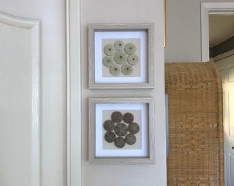 Sea Urchin Shell Art | Set of 2 -Purple & Green-Large Wall Art/Beach/Coastal Decor/Accent-9"x 9" Shadowbox-Genuine No. CA Coast/Sanibel FL
