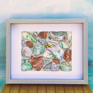 Abalone Shell Shadowbox-Framed Wall Art/Seashell Decor-Natural/Ethical from CA North Coast-Collage/Mosaic/Beach/Coastal Accent-12x15