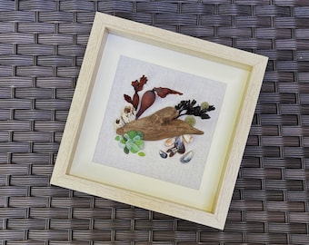 Ocean's Gifts | 10"x10" Framed Collage/Wall Art | Driftwood, Sea Urchins, Sea Glass, Seashells, Barnacles-Coastal/Beach Accent/Decor/Display