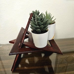 May include: A dark brown, wooden, geometric plant stand holding two small potted succulents. The stand has a triangular, star-like design. The succulents are green and in white pots.