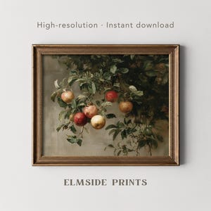 Puede incluir: Pintura enmarcada de estilo vintage que representa una rama cargada de manzanas maduras en tonos rojos y amarillos. La obra de arte está enmarcada en un marco dorado. El texto en la parte superior dice "High-resolution - Instant download" y en la parte inferior "ELMSIDE PRINTS".