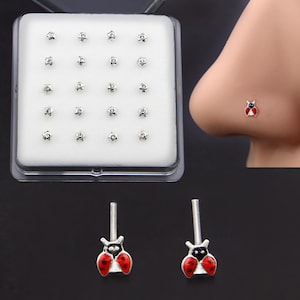 Può includere: Una collezione di piercing al naso in una custodia di plastica trasparente, con piccoli piercing color argento di varie forme. Viene mostrato anche un naso con un piercing a coccinella. Due piercing a coccinella sono esposti separatamente.