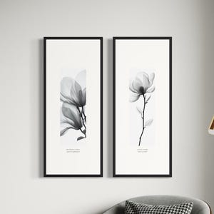 May include: Two vertical framed wall art pieces featuring black and white botanical illustrations of magnolia flowers. Each print is centered on a white background with small text below the floral imagery, enclosed in thin black rectangular frames.