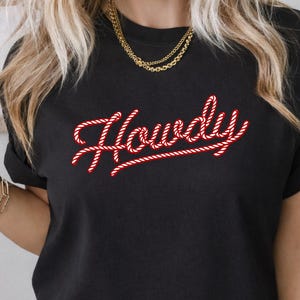 Retro Rope Script Howdy Shirt, Comfort Colors Western Tee, Country Cowgirl Concert Outfit