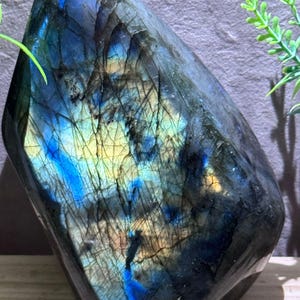 以下が含まれることがあります： 青、黄、黒色が混ざった磨かれたラブラドライトの石。石は滑らかな表面で、内部の亀裂が見えます。 全体的な形状は丸みを帯びており不規則で、片側にわずかな角度があります。