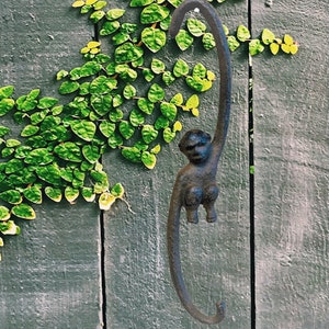 Puede incluir: Un gancho de mono de metal negro colgado en una pared de madera con hiedra verde creciendo en la pared.