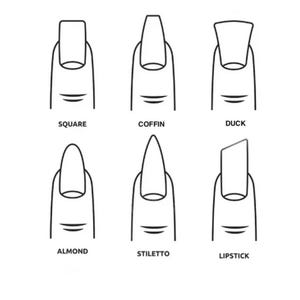 May include: A monochrome diagram illustrating six nail shapes: square, coffin, duck, almond, stiletto, and lipstick. Each nail style is clearly labelled. This image serves as a visual guide for nail technicians and enthusiasts.