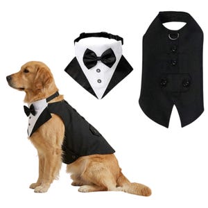 May include: A golden retriever wearing a black tuxedo vest and bow tie, with a matching collar and vest set. The dog is sitting, showcasing the formal pet attire. The vest has buttons and a pocket.