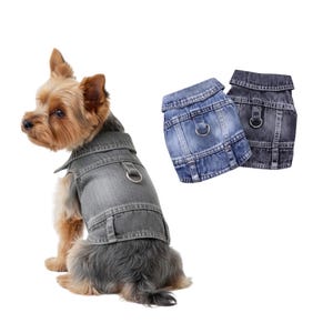 May include: A small dog wearing a gray denim jacket with silver metal hardware. Two additional denim jackets, one blue and one gray, are displayed to the right. The jackets have a classic design with a collar, pockets, and adjustable straps.