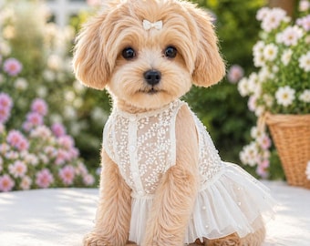 Vestido de novia de encaje para perros, vestido de princesa blanco para mascotas, elegante atuendo formal para perros pequeños y gatos, atuendo para sesión de fotos de cumpleaños para mascotas