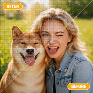 May include: A split-screen comparison image featuring a diamond painting kit. The left side labelled AFTER shows a pixelated rendering of a dog and a person. The right side labelled BEFORE displays the original photograph of a dog and a person.