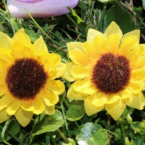 Sunflower post earrings image 9