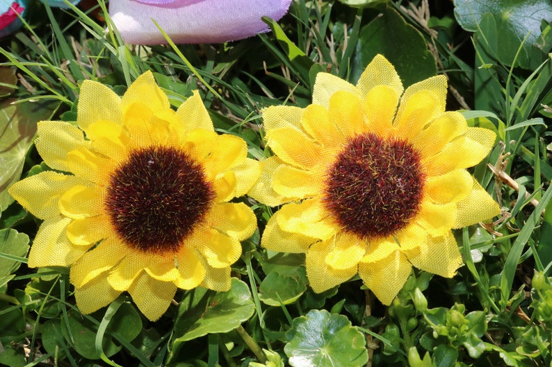 Sunflower post earrings image 9