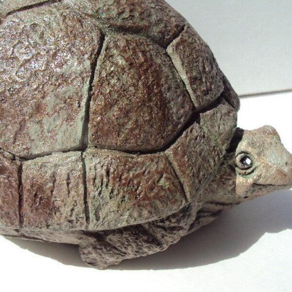 Turtle,  Chubby,  Weights Over Seven Pounds ooak finish