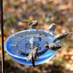 Custom Hanging Solar Fountain Birdbath, Royal Blue Sparkle Finish, Polycarbonate Bowl