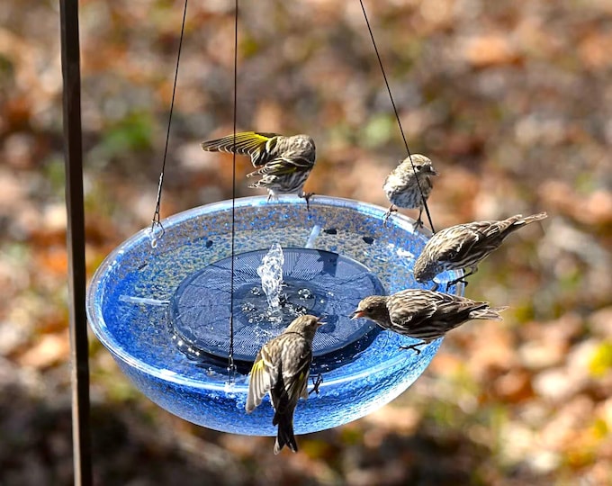 Custom Hanging Solar Fountain Birdbath, Royal Blue Sparkle Finish, Polycarbonate Bowl