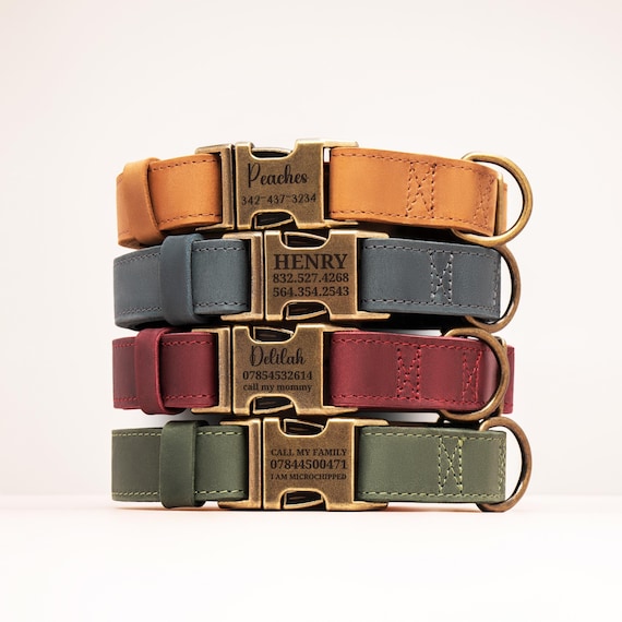 Personalized Dog Collar, Leather Pet Collars, Dog Accessories, Brass Hardware