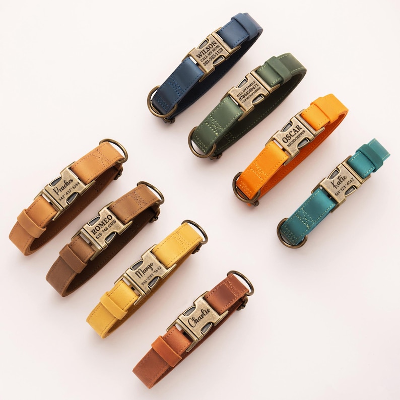 May include: A collection of seven pet collars in various colors including blue, green, orange, teal, yellow, and brown. Each collar features a metallic buckle engraved with a name and phone number, such as Wilson, Peaches, Romeo, Mango, Charlie, Oscar, and Katie.