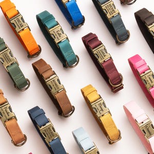 May include: A collection of pet collars in various solid colors including orange, teal, blue, brown, burgundy, yellow, pink, and light blue. Each collar features a metallic buckle engraved with a name and phone number, and a metal D-ring.